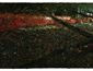 世界广场-莫斯科  布面油画  600x250cm 2013