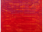 红笼 2  200x250cm  布面油画  2020-2021